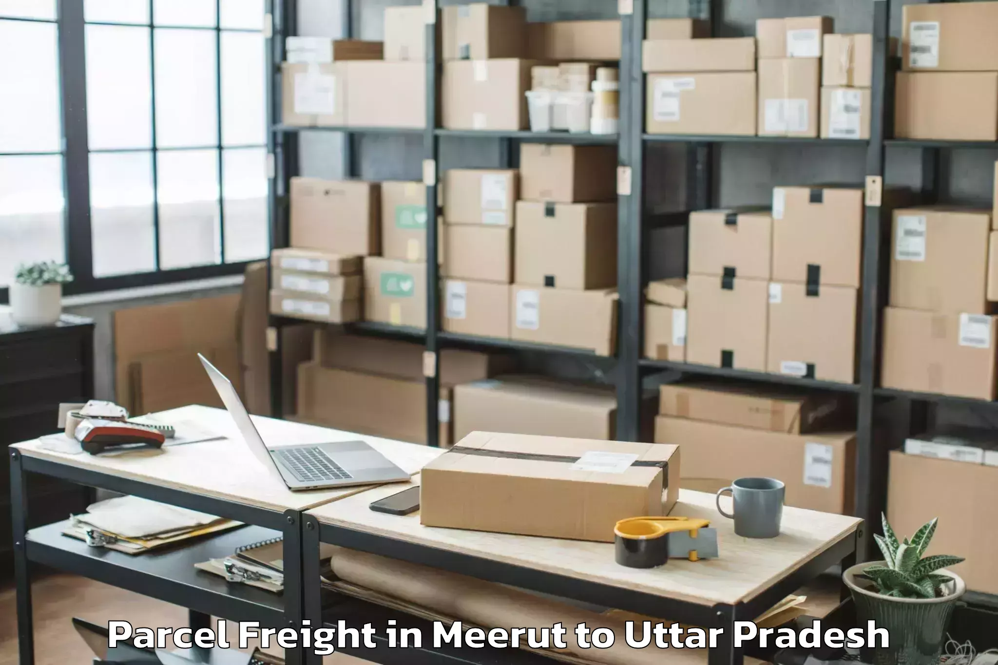 Top Meerut to Nighasan Parcel Freight Available